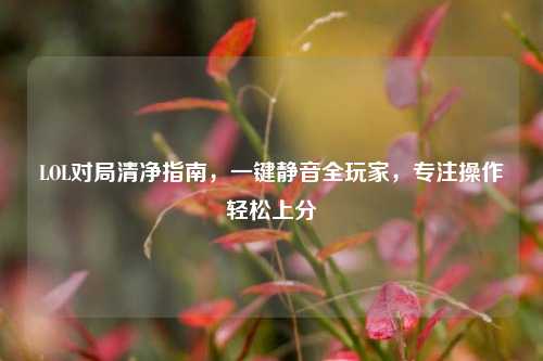 LOL对局清净指南，一键静音全玩家，专注操作轻松上分