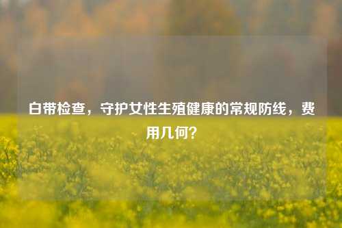 白带检查，守护女性生殖健康的常规防线，费用几何？