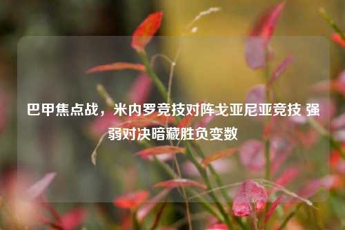 巴甲焦点战，米内罗竞技对阵戈亚尼亚竞技 强弱对决暗藏胜负变数