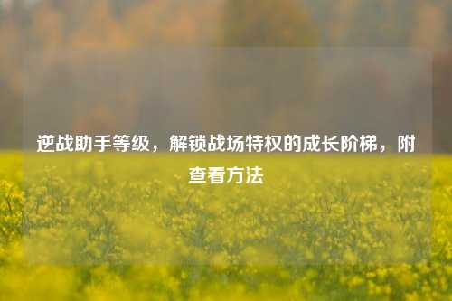 逆战助手等级，解锁战场特权的成长阶梯，附查看 *** 