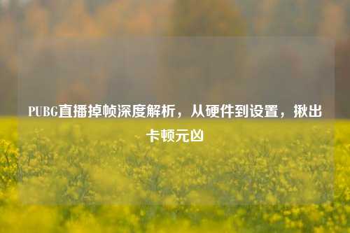 PUBG直播掉帧深度解析，从硬件到设置，揪出卡顿元凶