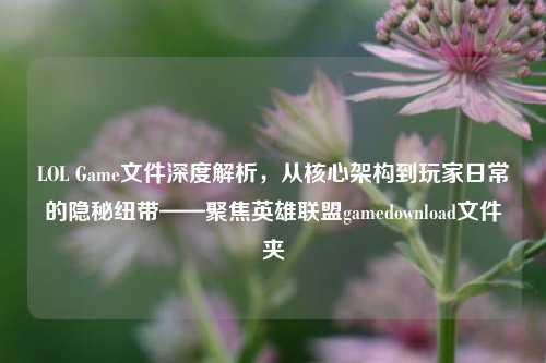 LOL Game文件深度解析，从核心架构到玩家日常的隐秘纽带——聚焦英雄联盟gamedownload文件夹