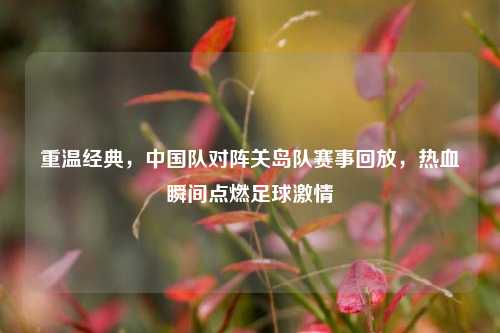 重温经典，中国队对阵关岛队赛事回放，热血瞬间点燃足球 *** 