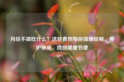 月经不调吃什么？这些食物帮你调理经期、养护卵巢，找回健康节律