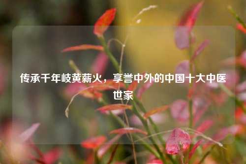 传承千年岐黄薪火，享誉中外的中国十大中医世家