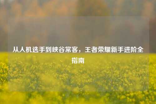 从人机选手到峡谷常客，王者荣耀新手进阶全指南