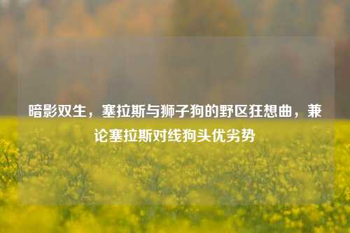 暗影双生，塞拉斯与狮子狗的野区狂想曲，兼论塞拉斯对线狗头优劣势