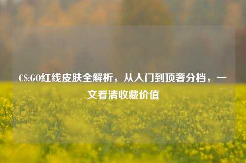 CS:GO红线皮肤全解析，从入门到顶奢分档，一文看清收藏价值