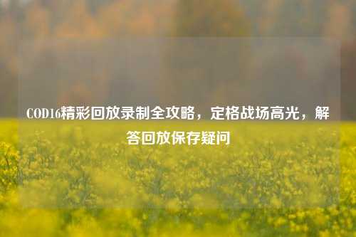 COD16精彩回放录制全攻略，定格战场高光，解答回放保存疑问