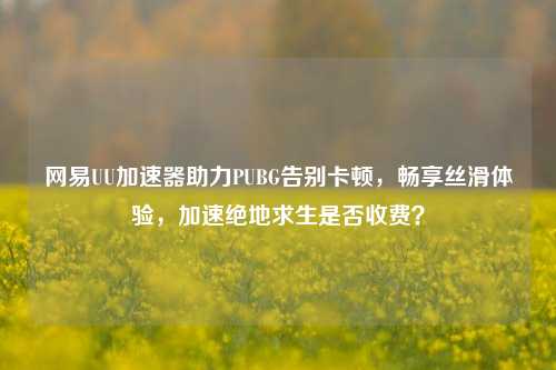 网易UU加速器助力PUBG告别卡顿，畅享丝滑体验，加速绝地求生是否收费？