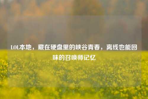 LOL本地，藏在硬盘里的峡谷青春，离线也能回味的召唤师记忆