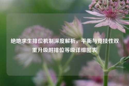 绝地求生排位机制深度解析，平衡与竞技性双重升级附排位等级详细图表
