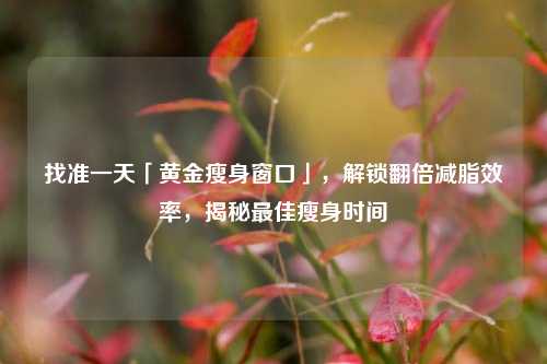 找准一天「黄金瘦身窗口」，解锁翻倍减脂效率，揭秘更佳瘦身时间