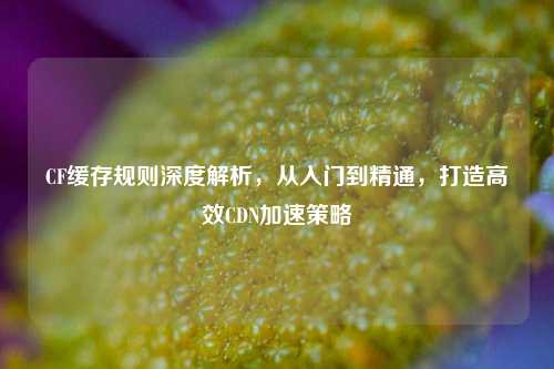 CF缓存规则深度解析，从入门到精通，打造高效CDN加速策略