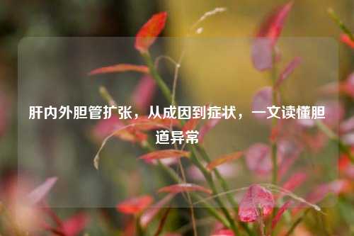 肝内外胆管扩张，从成因到症状，一文读懂胆道异常
