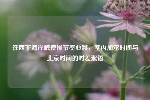 在西非海岸触摸慢节奏心跳，塞内加尔时间与北京时间的时差絮语