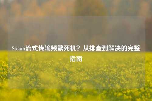Steam流式传输频繁死机？从排查到解决的完整指南