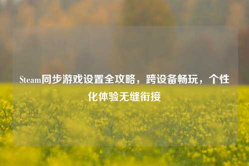 Steam同步游戏设置全攻略，跨设备畅玩，个性化体验无缝衔接