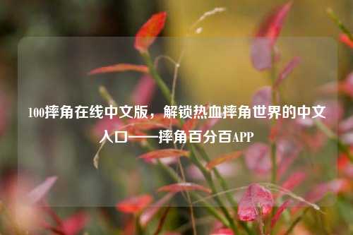 100摔角在线中文版，解锁热血摔角世界的中文入口——摔角百分百APP