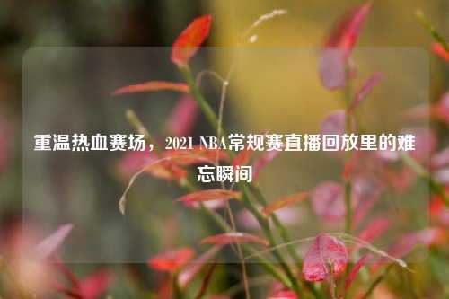 重温热血赛场，2021 NBA常规赛直播回放里的难忘瞬间