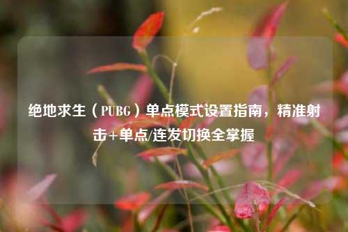 绝地求生（PUBG）单点模式设置指南，精准射击+单点/连发切换全掌握