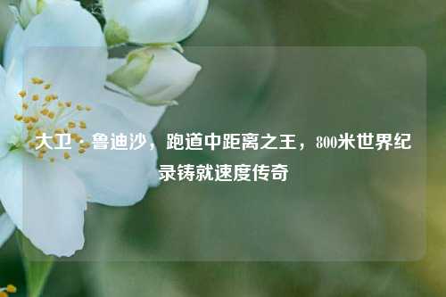 大卫·鲁迪沙，跑道中距离之王，800米世界纪录铸就速度传奇