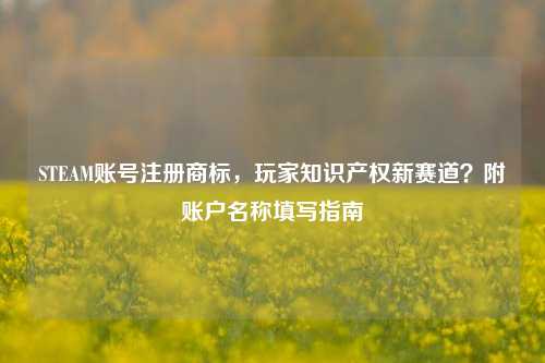 STEAM账号注册商标，玩家知识产权新赛道？附账户名称填写指南
