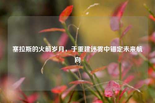 塞拉斯的火箭岁月，于重建迷雾中锚定未来航向