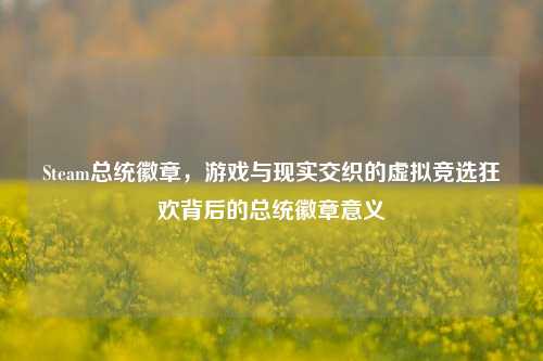 Steam总统徽章，游戏与现实交织的虚拟竞选狂欢背后的总统徽章意义