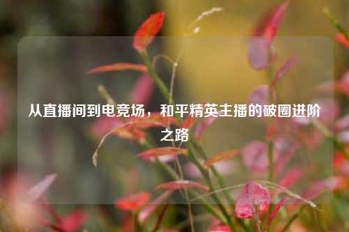 从直播间到电竞场，和平精英主播的破圈进阶之路