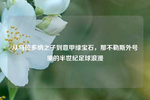 从马拉多纳之子到意甲绿宝石，那不勒斯外号里的半世纪足球浪漫