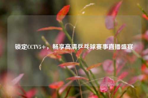 锁定CCTV5+，畅享高清乒乓球赛事直播盛宴