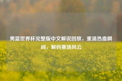 男篮世界杯完整版中文解说回放，重温热血瞬间，解码赛场风云