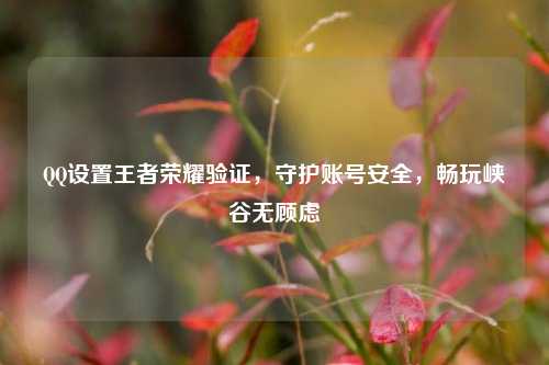  *** 设置王者荣耀验证，守护账号安全，畅玩峡谷无顾虑
