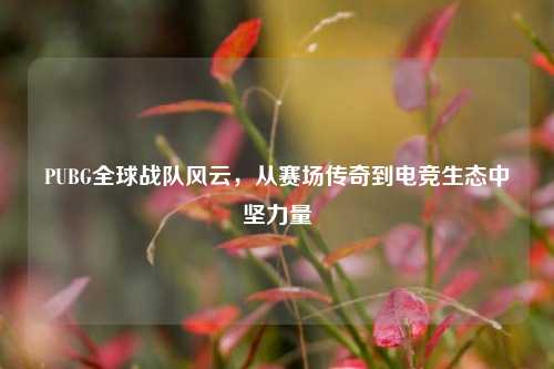 PUBG全球战队风云，从赛场传奇到电竞生态中坚力量