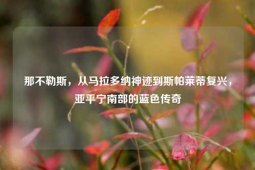 那不勒斯，从马拉多纳神迹到斯帕莱蒂复兴，亚平宁南部的蓝色传奇
