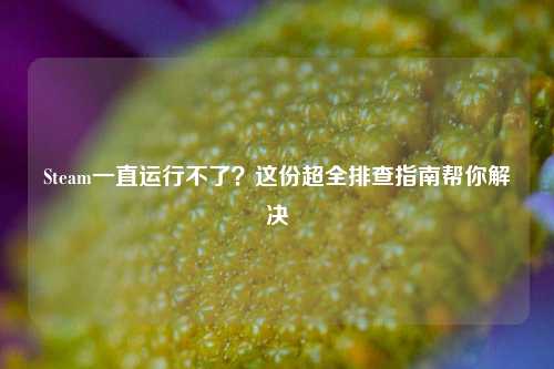 Steam一直运行不了？这份超全排查指南帮你解决