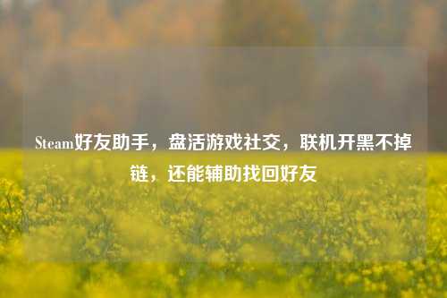 Steam好友助手，盘活游戏社交，联机开黑不掉链，还能辅助找回好友