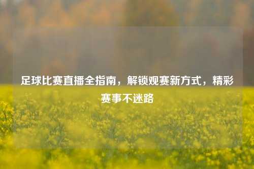 足球比赛直播全指南，解锁观赛新方式，精彩赛事不迷路