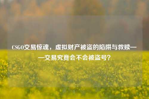 CSGO交易惊魂，虚拟财产被盗的陷阱与救赎——交易究竟会不会被盗号？