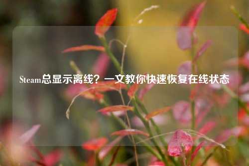 Steam总显示离线？一文教你快速恢复在线状态