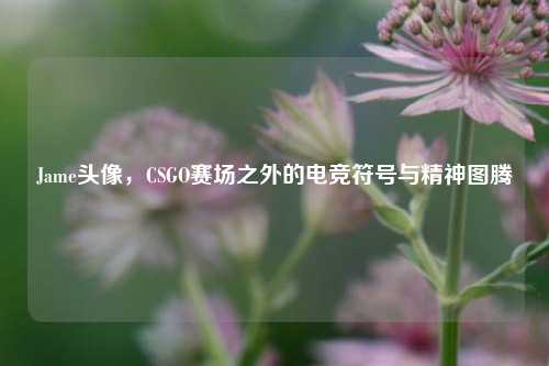 Jame头像，CSGO赛场之外的电竞符号与精神图腾