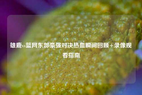 雄鹿vs篮网东部豪强对决热血瞬间回顾+录像观看指南