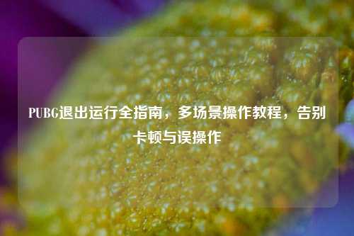 PUBG退出运行全指南，多场景操作教程，告别卡顿与误操作
