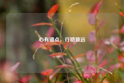 心有锚点，行稳致远