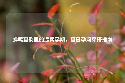 蝉鸣夏韵里的温柔孕期，夏日孕妈穿搭指南