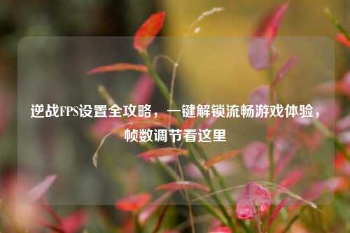 逆战FPS设置全攻略，一键解锁流畅游戏体验，帧数调节看这里