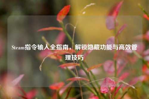 Steam指令输入全指南，解锁隐藏功能与高效管理技巧