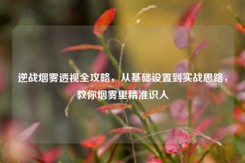 逆战烟雾透视全攻略，从基础设置到实战思路，教你烟雾里精准识人