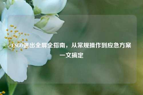 CSGO退出全屏全指南，从常规操作到应急方案一文搞定